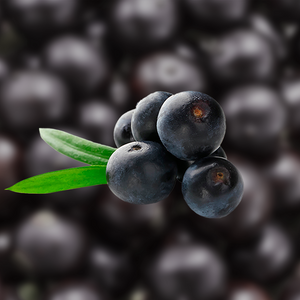 Acai Aseptic Fruit Puree
