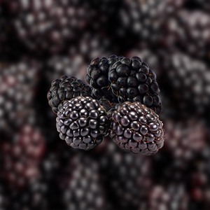Blackberry Aseptic Fruit Puree