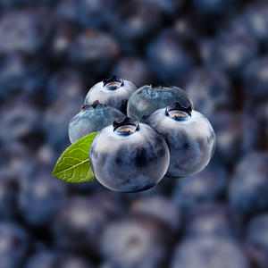 Blueberry Aseptic Fruit Puree