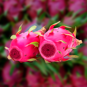 Dragon Fruit Aseptic Fruit Puree