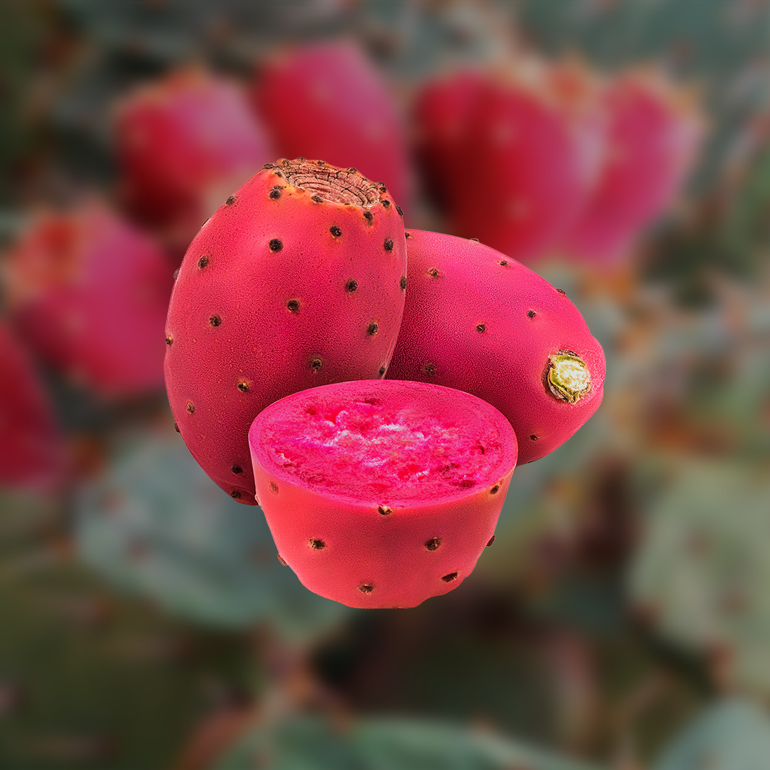 prickly pear cactus puree Prickly Pear Aseptic Fruit Puree 485 Lbs