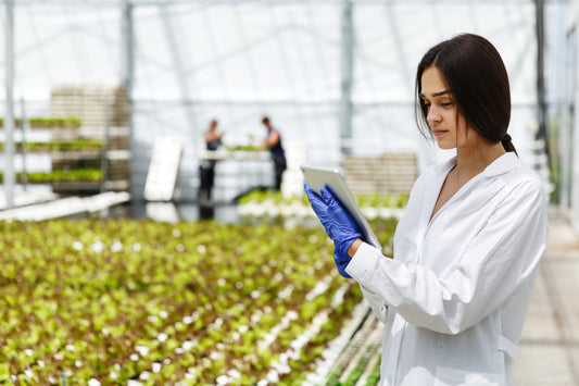 FSVP: Major Food Import Regulations