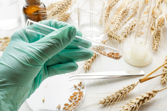 Non-GMO Food: A Smart Choice for a Healthy Lifestyle