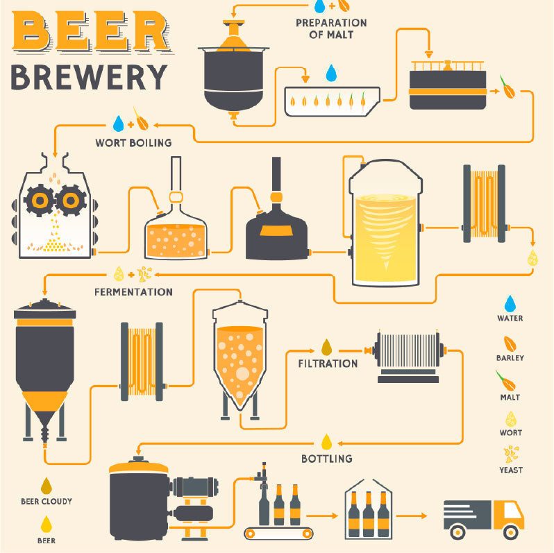 Graphic design showing the steps of brewing