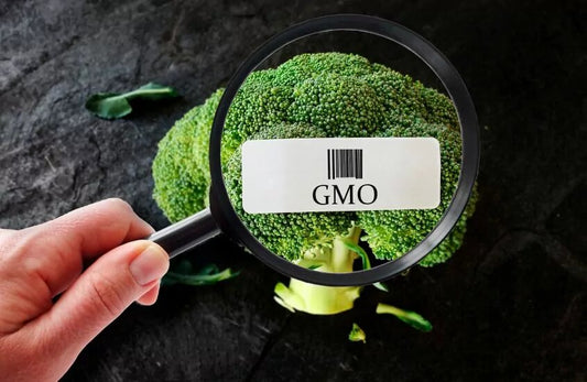 Get to know the importance of food certifications