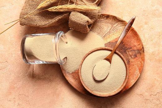 Difference Between Instant and Active Dry Yeast: Plan your Baking Process