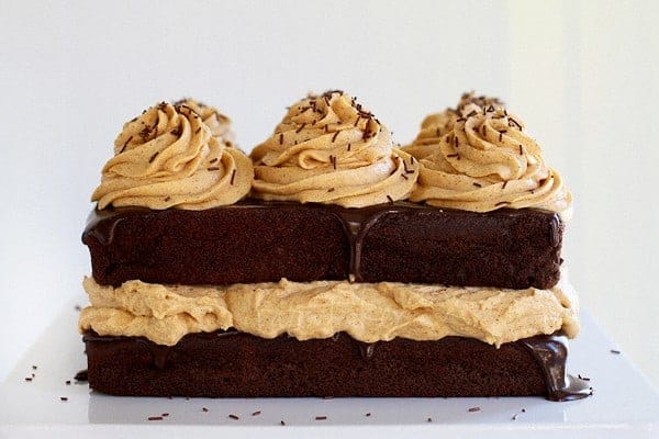 A slice of chocolate pumpkin cake with frosting