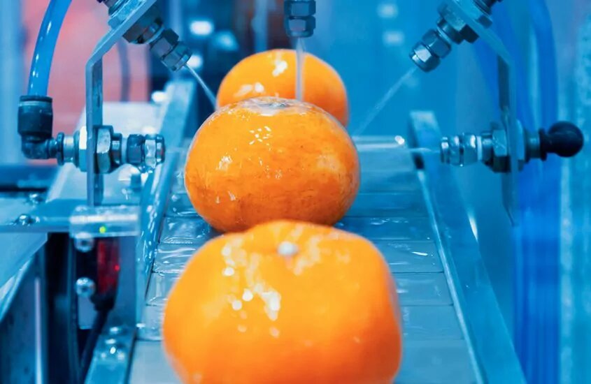 Tangerines being washed by a machine