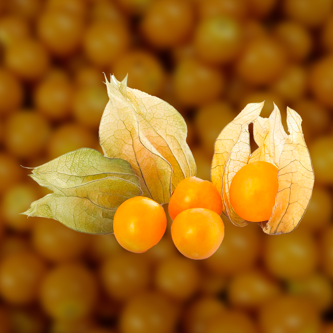 Cape Gooseberry Aseptic Fruit Puree
