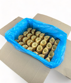 Cream Horn 108pcs / Large / Unfilled