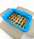 Cream Horn 108pcs / Large / Unfilled
