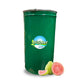 Guava Aseptic Fruit Puree