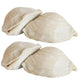Large Sfogliatelle