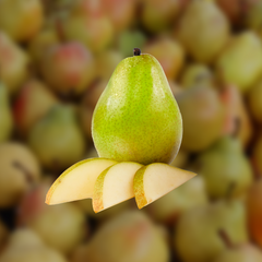 Pear Aseptic Fruit Puree TEST