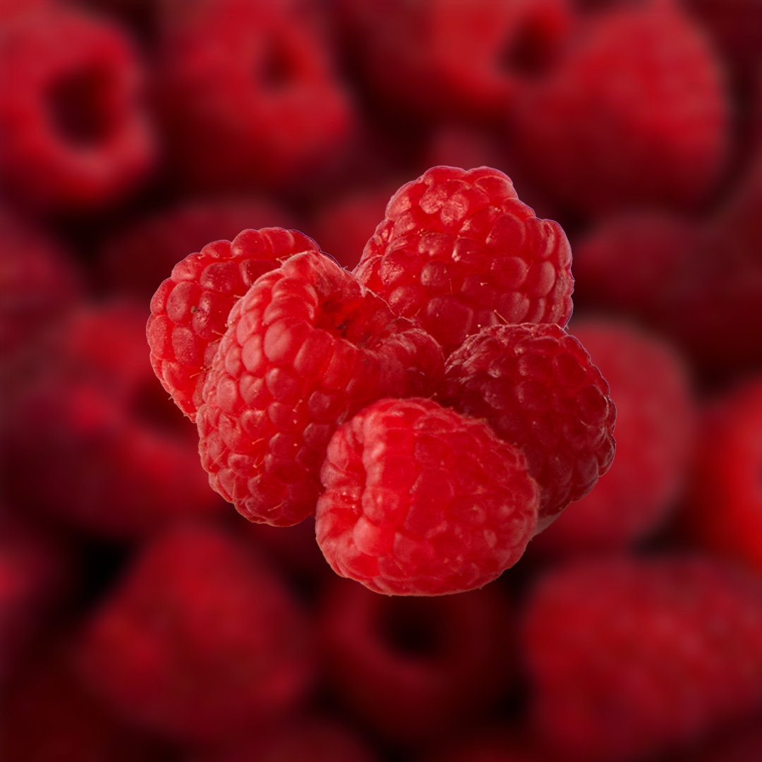 Raspberry Aseptic Fruit Puree