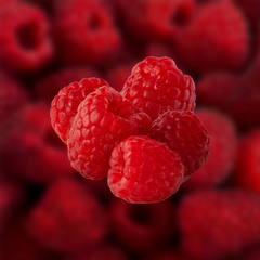 Raspberry Aseptic Fruit Puree