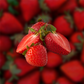 Strawberry Aseptic Fruit Puree
