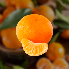 Tangerine Aseptic Fruit Puree