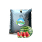 Watermelon Aseptic Fruit Puree