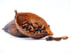 Cocoa Beans