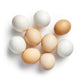 Eggs / Whole / Pail