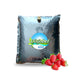 Strawberry Aseptic Fruit Puree TEST