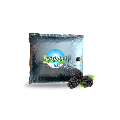 11 LBS Blackberry  Aseptic Fruit Puree