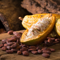 Premium Cacao Beans - Quality, Flavour, and Artistry | Our Specialty