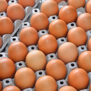 Enhance Your Baked Goods with Bakery Eggs | High-Quality Ingredients